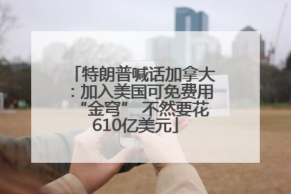 特朗普喊话加拿大：加入美国可免费用“金穹” 不然要花610亿美元