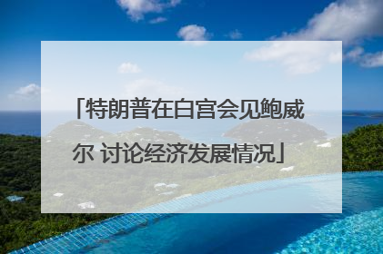 特朗普在白宫会见鲍威尔 讨论经济发展情况