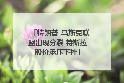 特朗普-马斯克联盟出现分裂 特斯拉股价承压下挫