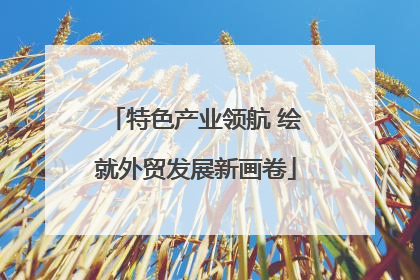 特色产业领航 绘就外贸发展新画卷