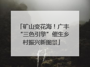 矿山变花海！广丰“三色引擎”催生乡村振兴新图景