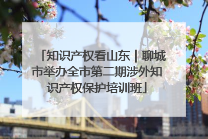 知识产权看山东｜聊城市举办全市第二期涉外知识产权保护培训班