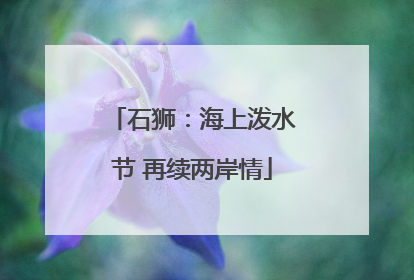 石狮：海上泼水节 再续两岸情