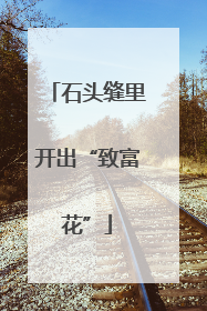 石头缝里开出“致富花”