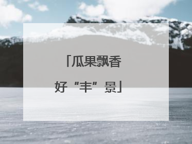 瓜果飘香 好“丰”景