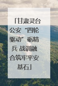 甘肃灵台公安“四轮驱动”砺精兵 战训融合筑牢平安基石