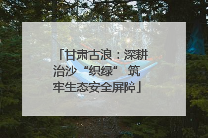 甘肃古浪：深耕治沙“织绿” 筑牢生态安全屏障