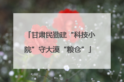 甘肃民勤建“科技小院”守大漠“粮仓”