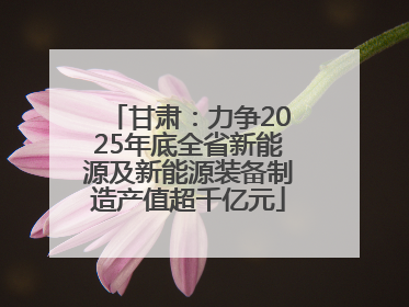 甘肃：力争2025年底全省新能源及新能源装备制造产值超千亿元