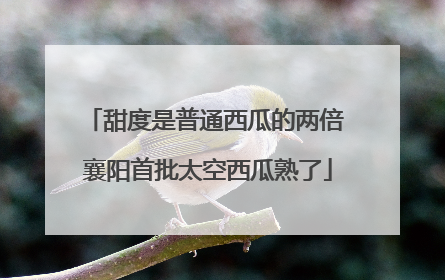 甜度是普通西瓜的两倍 襄阳首批太空西瓜熟了