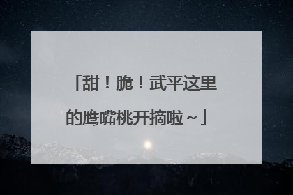 甜！脆！武平这里的鹰嘴桃开摘啦～