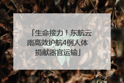 生命接力！东航云南高效护航4例人体捐献器官运输