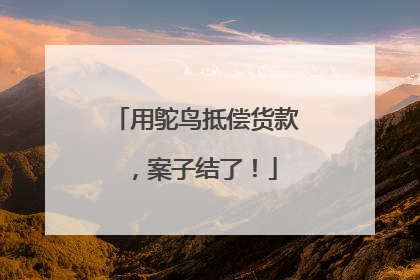 用鸵鸟抵偿货款，案子结了！