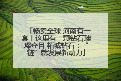 畅卖全球 河南有一套丨这里有一颗钻石璀璨夺目 柘城钻石：“链”就发展新动力