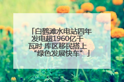 白鹤滩水电站四年发电超1960亿千瓦时 库区移民搭上“绿色发展快车”