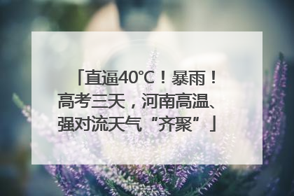 直逼40℃！暴雨！高考三天，河南高温、强对流天气“齐聚”