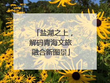 盐湖之上，解码青海文旅融合新图景