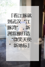 看江豚就到武汉“江豚湾”，新洲双柳打造“微笑天使”新地标