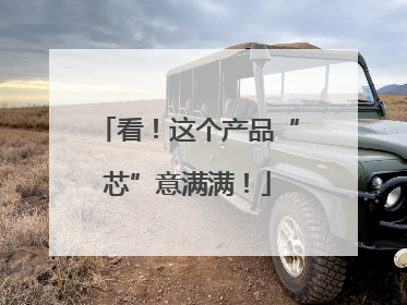 看！这个产品“芯”意满满！