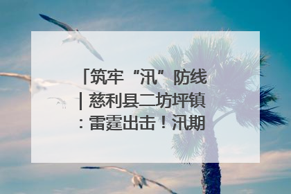 筑牢“汛”防线｜慈利县二坊坪镇：雷霆出击！汛期捕鱼被紧急叫停