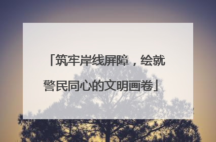 筑牢岸线屏障，绘就警民同心的文明画卷
