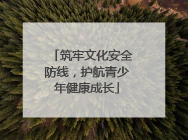 筑牢文化安全防线，护航青少年健康成长