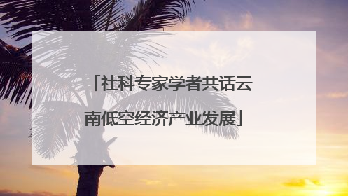 社科专家学者共话云南低空经济产业发展