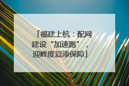 福建上杭：配网建设“加速跑”，迎峰度夏添保障