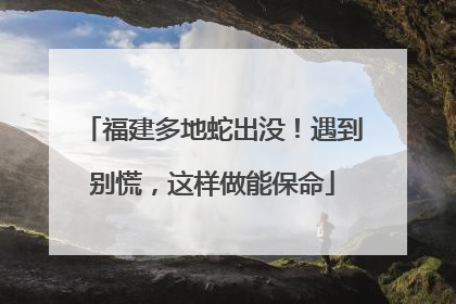 福建多地蛇出没！遇到别慌，这样做能保命