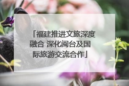 福建推进文旅深度融合 深化闽台及国际旅游交流合作