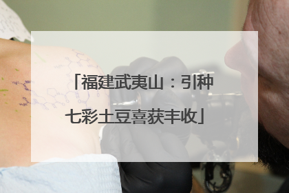 福建武夷山：引种七彩土豆喜获丰收