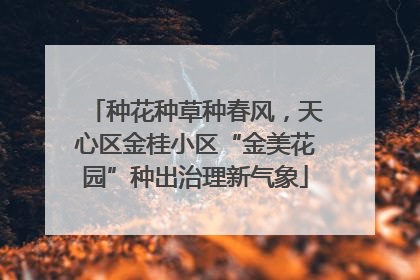 种花种草种春风，天心区金桂小区“金美花园”种出治理新气象