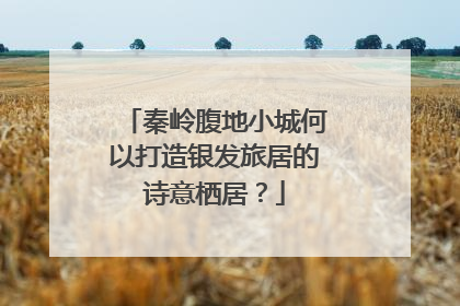 秦岭腹地小城何以打造银发旅居的诗意栖居？