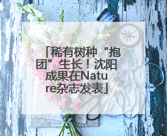 稀有树种“抱团”生长！沈阳成果在Nature杂志发表