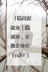 稳岗促就业｜稳就业，安徽企业在行动！