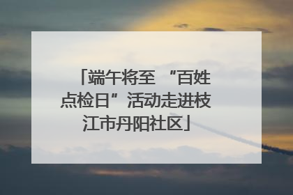 端午将至 “百姓点检日”活动走进枝江市丹阳社区