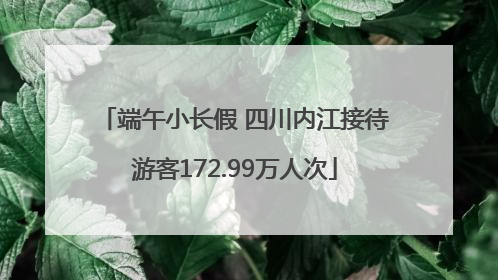 端午小长假 四川内江接待游客172.99万人次