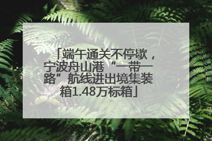 端午通关不停歇，宁波舟山港“一带一路”航线进出境集装箱1.48万标箱