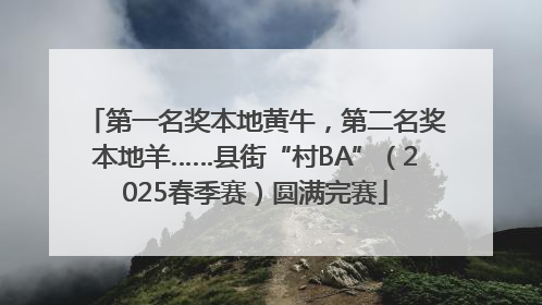第一名奖本地黄牛，第二名奖本地羊……县街“村BA”（2025春季赛）圆满完赛