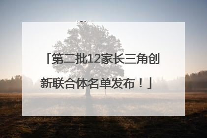 第二批12家长三角创新联合体名单发布！