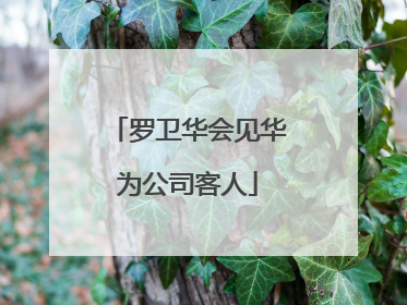 罗卫华会见华为公司客人