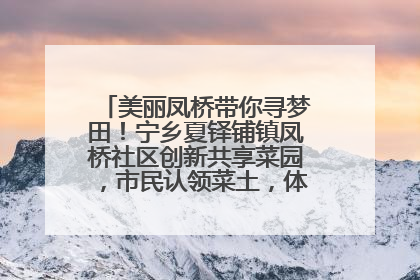 美丽凤桥带你寻梦田！宁乡夏铎铺镇凤桥社区创新共享菜园，市民认领菜土，体验耕种收获乐趣