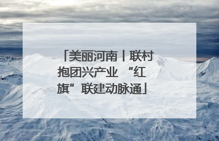 美丽河南丨联村抱团兴产业 “红旗”联建动脉通