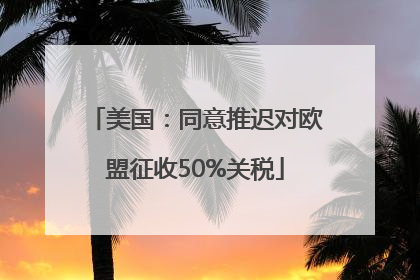 美国：同意推迟对欧盟征收50%关税