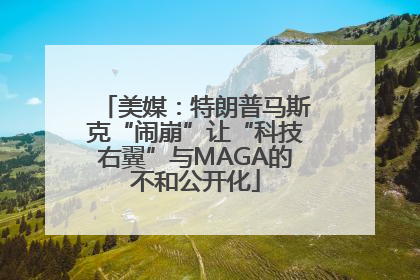 美媒：特朗普马斯克“闹崩”让“科技右翼”与MAGA的不和公开化