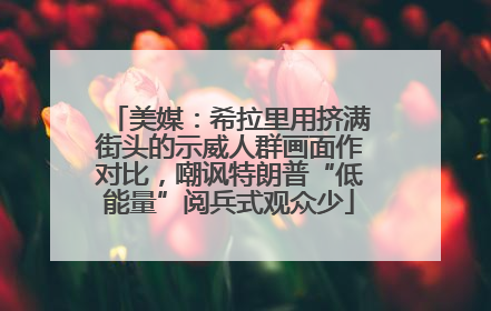 美媒：希拉里用挤满街头的示威人群画面作对比，嘲讽特朗普“低能量”阅兵式观众少
