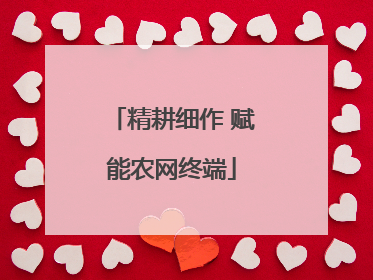 精耕细作 赋能农网终端