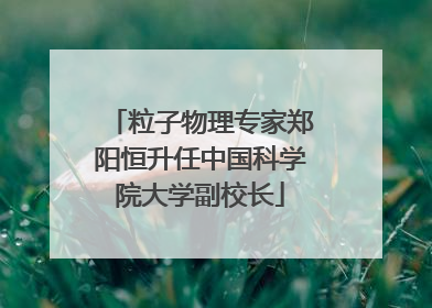 粒子物理专家郑阳恒升任中国科学院大学副校长