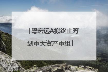 粤宏远A拟终止筹划重大资产重组