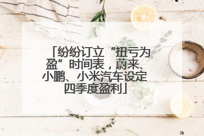 纷纷订立“扭亏为盈”时间表，蔚来、小鹏、小米汽车设定四季度盈利
